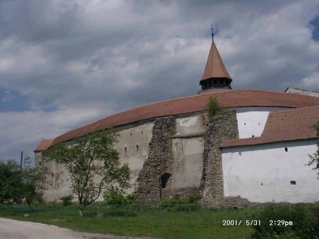 Burg 2001