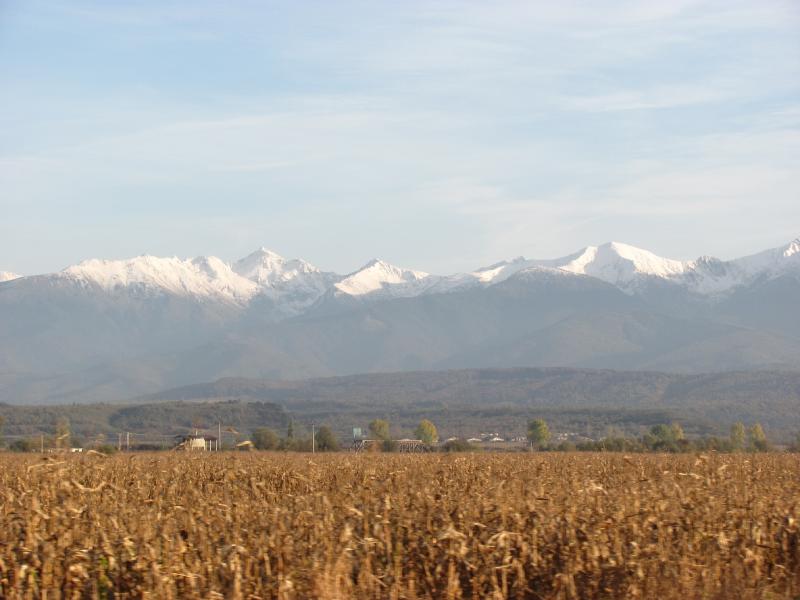 Fogarascher Berge