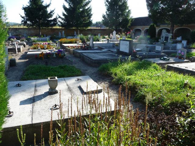 Friedhof 2011