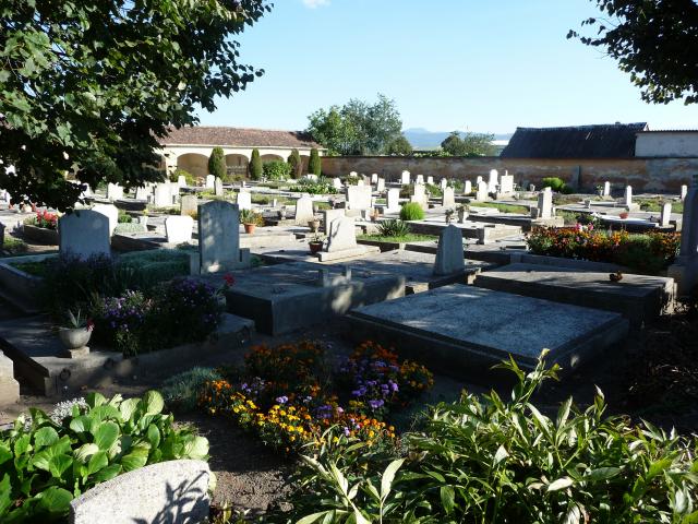 Friedhof 2011