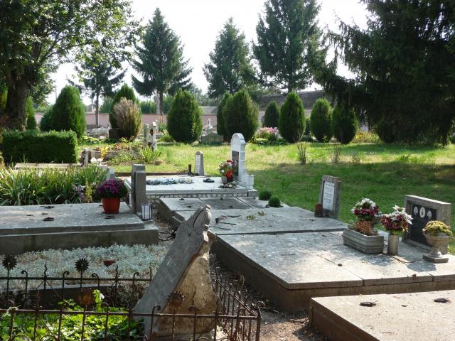 Friedhof 2015
